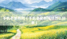手机老是断网（手机老是断网络怎么回事）