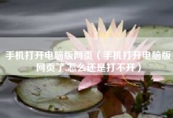 手机打开电脑版网页（手机打开电脑版网页了,怎么还是打不开）