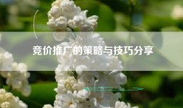 竞价推广的策略与技巧分享