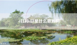 d日和t日是什么意思啊