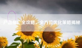 产品推广全攻略，全方位优化策略揭秘