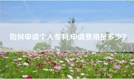 如何申请个人专利,申请费用是多少？
