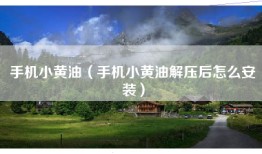 手机小黄油（手机小黄油解压后怎么安装）