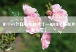用手机怎样看那种片（一般用手机看片怎么看）