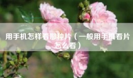 用手机怎样看那种片（一般用手机看片怎么看）