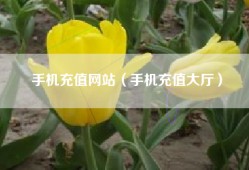 手机充值网站（手机充值大厅）