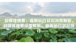 自媒体观察，最新运行状况深度解析，自媒体观察深度解析，最新运行状况探讨