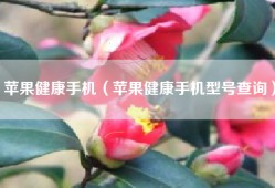 苹果健康手机（苹果健康手机型号查询）