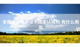 全媒体运营师证书国家认可吗 有什么用处