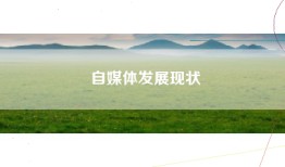 自媒体发展现状