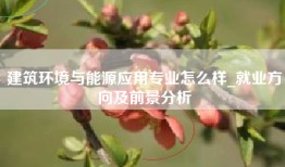建筑环境与能源应用专业怎么样_就业方向及前景分析