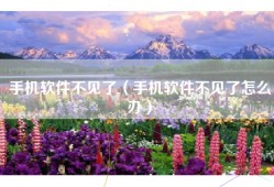 手机软件不见了（手机软件不见了怎么办）