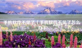手机软件不见了（手机软件不见了怎么办）