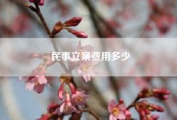 民事立案费用多少