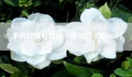 手机呼吸灯软件（呼吸灯手机2021）