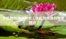 手机如何调分辨率（手机如何调分辨率图片）