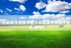 谷歌原生系统手机（谷歌原生系统手机能用吗）