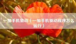 一加手机驱动（一加手机驱动程序怎么运行）