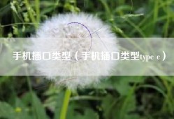 手机插口类型（手机插口类型type c）