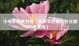 小米手机查型号（小米手机查型号在哪里查询）