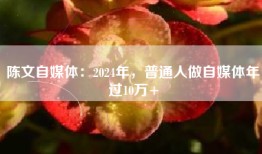 陈文自媒体：2024年，普通人做自媒体年过10万+