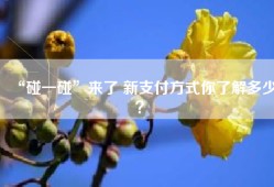 “碰一碰”来了 新支付方式你了解多少？