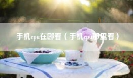 手机cpu在哪看(手机cpu那里看)