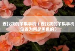 查找我的苹果手机（查找我的苹果手机位置为何是黑色的）