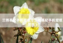 兰博基尼手机壁纸（兰博基尼手机壁纸竖屏）