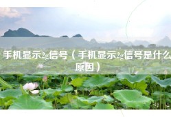 手机显示2g信号（手机显示2g信号是什么原因）