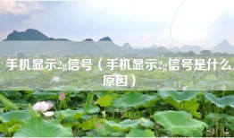 手机显示2g信号（手机显示2g信号是什么原因）