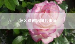 怎么查微信图片来源