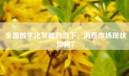 全面数字化发展的当下，消费市场现状如何？