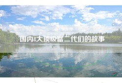 国内8大顶级富二代们的故事
