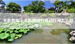 手机照明（手机照明灯自动打开怎么回事）