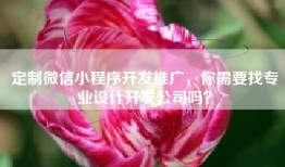 定制微信小程序开发推广，你需要找专业设计开发公司吗？