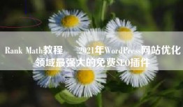 Rank Math教程 – 2021年WordPress网站优化领域最强大的免费SEO插件