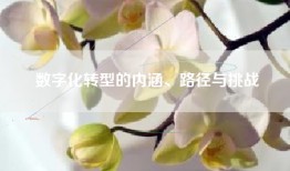 数字化转型的内涵、路径与挑战