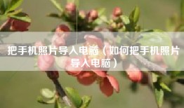 把手机照片导入电脑（如何把手机照片导入电脑）