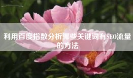 利用百度指数分析哪些关键词有SEO流量的方法