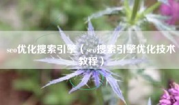 seo优化搜索引擎（seo搜索引擎优化技术教程）