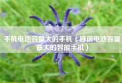 手机电池容量大的手机（目前电池容量最大的智能手机）