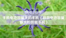 手机电池容量大的手机（目前电池容量最大的智能手机）