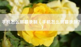 手机怎么屏幕录制（手机怎么屏幕录制？）