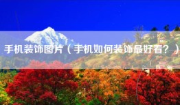 手机装饰图片（手机如何装饰最好看？）