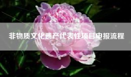 非物质文化遗产代表性项目申报流程