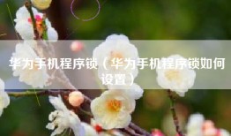 华为手机程序锁（华为手机程序锁如何设置）
