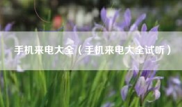 手机来电大全（手机来电大全试听）