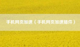 手机网页加速（手机网页加速插件）