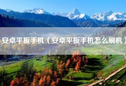安卓平板手机（安卓平板手机怎么刷机）